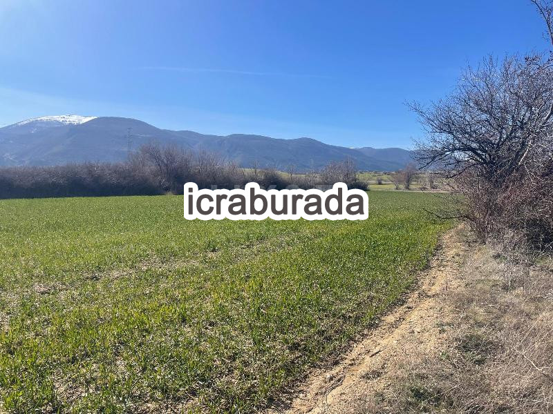 icralık  m2 Tarla Konya Akşehir Doğrugöz/merkez