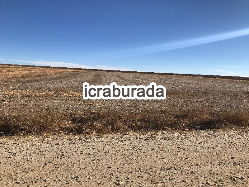 icralık  m2 Tarla Eskişehir Tepebaşı Gündüzler