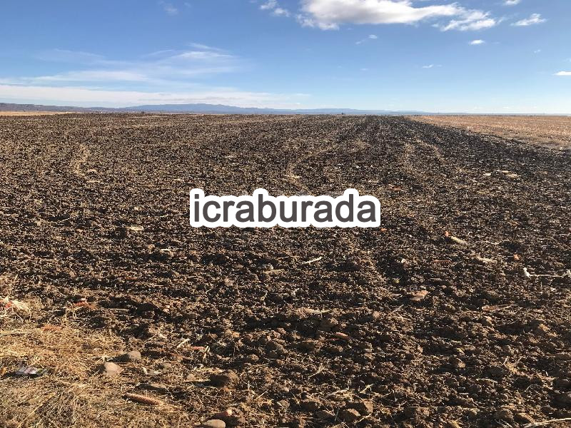 icralık  m2 Tarla Eskişehir Tepebaşı Gündüzler
