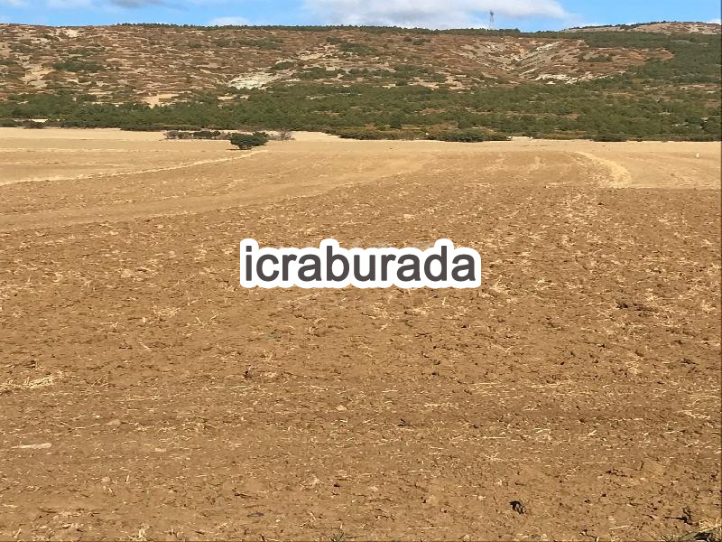icralık  m2 Tarla Eskişehir Tepebaşı Gündüzler